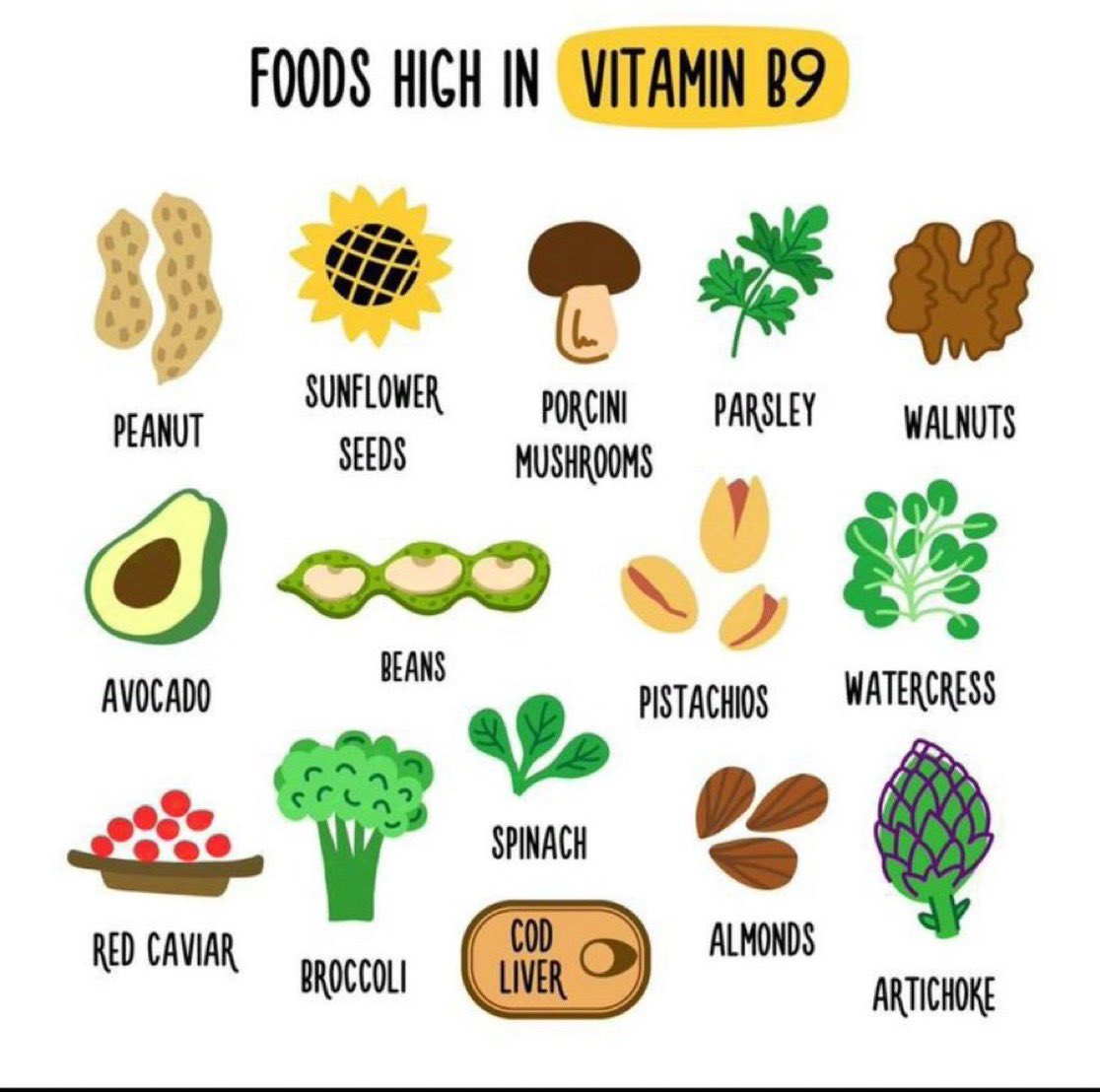 foodrich in vitamin B 9