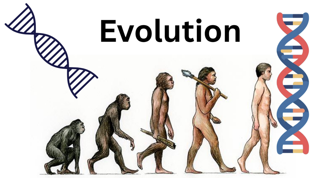 evolution (antigenit shift vs drift)